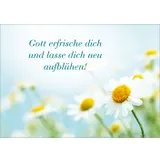 Stimmungsbild zu Lauter gute Wünsche - Postkartenbuch