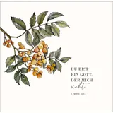 Stimmungsbild zu AugenBlicke - Aufstellbuch