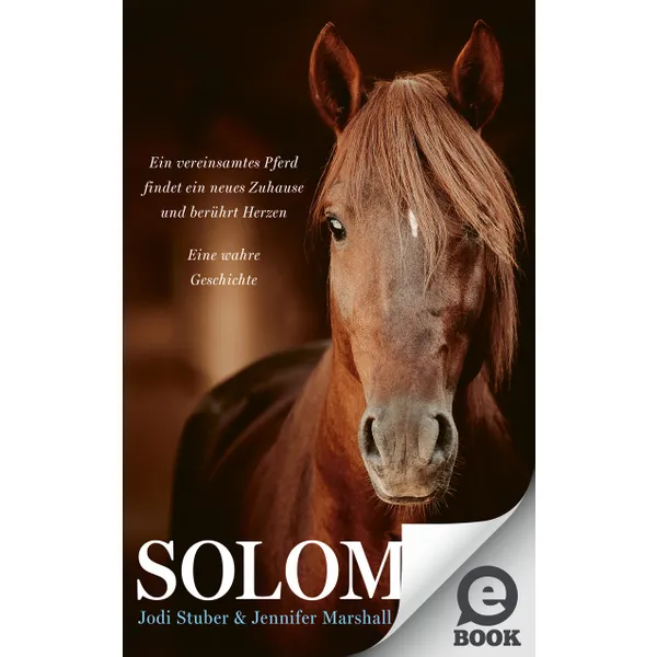 Produktbild des Artikels Solomon (E-Book - ePUB Datei)