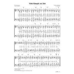 Produktbild des Artikels Viele Kämpfe zur Zeit (Noten - Download)