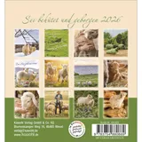 Stimmungsbild zu Sei behütet und geborgen 2026 - Aufstellkalender