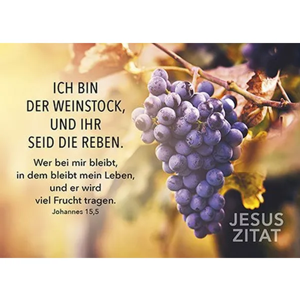 Produktbild des Artikels Postkarten: Ich bin der Weinstock, 4 Stück (Schreibwaren)