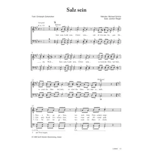 Produktbild des Artikels Salz sein (Noten - Download)