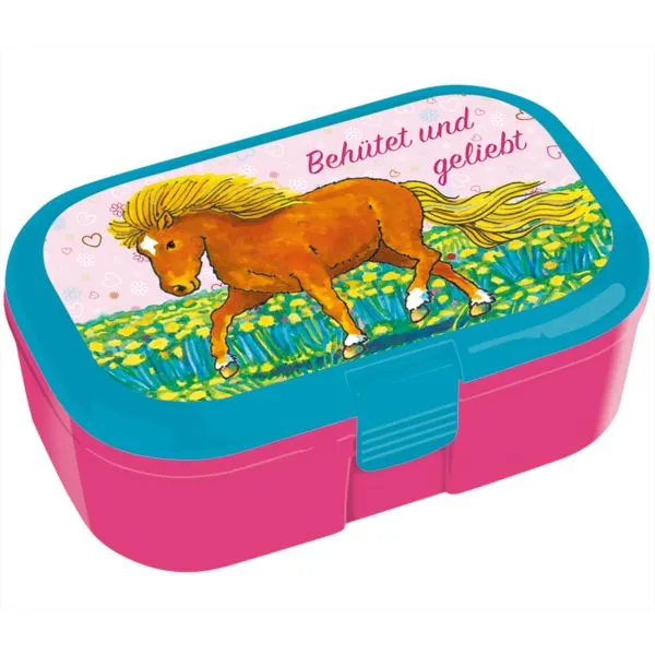Produktbild des Artikels Lunchbox: Behütet und geliebt ()