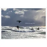 Stimmungsbild zu Post vom Meer - Postkartenset