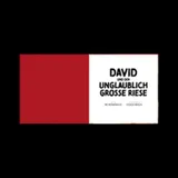 Stimmungsbild zu David und der unglaubliche grosse Riese