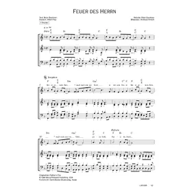 Produktbild des Artikels Feuer des Herrn (Noten - Download)