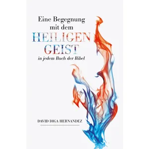 Produktbild des Artikels Eine Begegnung mit dem heiligen Geist (Buch - Paperback)