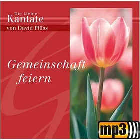 Produktbild des Artikels Gnade von oben (MP3-Track - Download)