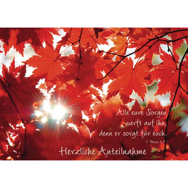 Produktbild des Artikels Faltkarte "Alle eure Sorgen werft auf ihn..." Herzliche Anteilnahme, 5 Stück (Schreibwaren)