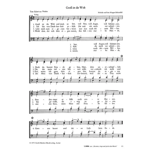 Produktbild des Artikels Gross ist die Welt (Noten - Download)