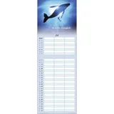 Stimmungsbild zu Loslassen & leben 2026 - Wandkalender