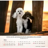Stimmungsbild zu Hunde 2026 - Tischkalender