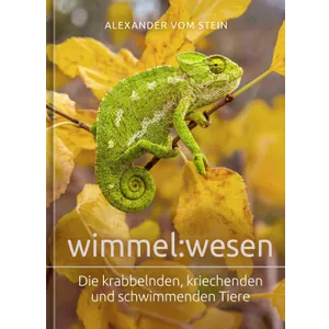 Produktbild des Artikels wimmel:wesen (Buch - Gebunden)