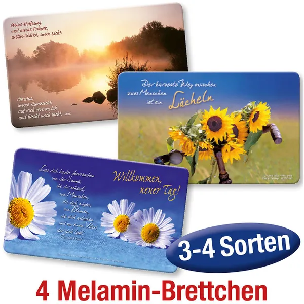 Produktbild des Artikels Spar-Paket: Melamin-Brettchen ()