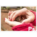 Stimmungsbild zu Ps. - Postkartenbuch