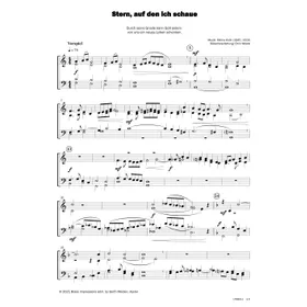 Produktbild des Artikels Stern, auf den ich schaue (Noten - Download)