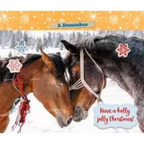 Stimmungsbild zu 24 x Tierische Weihnachten - Adventskalender