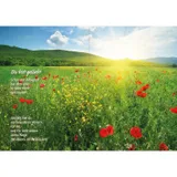 Stimmungsbild zu Liebe Grüße zum Geburtstag