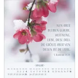 Stimmungsbild zu Zarte Blumengrüße 2026 - Tischkalender