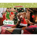 Stimmungsbild zu 24 x Tierische Weihnachten - Adventskalender