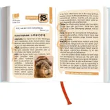 Stimmungsbild zu Der Kompass 2026 - Buchkalender