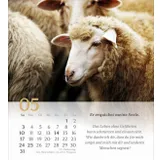 Stimmungsbild zu Psalm 23 - Tischkalender 2026