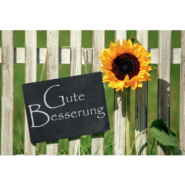 Produktbild des Artikels Faltkarte "Gute Besserung" - 5 Stück (Schreibwaren)