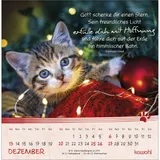 Stimmungsbild zu Kleine Katzen-Tatzen 2026 - Postkartenkalender