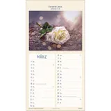 Stimmungsbild zu Meine Zeit in seinen Händen 2026