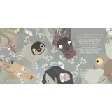 Stimmungsbild zu Wunderbare gute Nacht