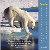 Stimmungsbild zu Gottes Liebe ist wie die Sonne 2026 - Postkartenkalender