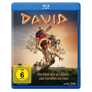 Produktbild des Artikels David (Video - Blu-ray)