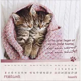 Stimmungsbild zu Kleine Katzen-Tatzen 2026 - Postkartenkalender