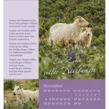 Stimmungsbild zu Sei behütet und geborgen 2026 - Aufstellkalender