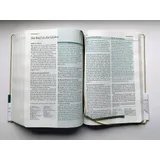 Stimmungsbild zu Die Bibel mit Impulsen von Joyce Meyer, Kunstlederausgabe