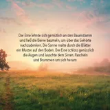 Stimmungsbild zu Für einen besonderen Wunsch - Geldscheinbox