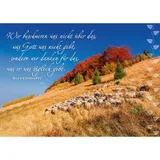 Stimmungsbild zu Postkartenbuch: Der gute Hirte führt uns