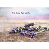 Stimmungsbild zu Momente der Freude - Postkartenbuch