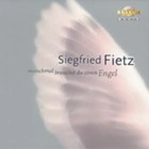 Produktbild des Artikels Manchmal brauchst Du einen Engel (Audio - CD)