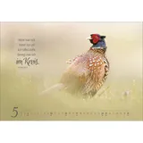 Stimmungsbild zu Real Wildlife 2026 - Wandkalender