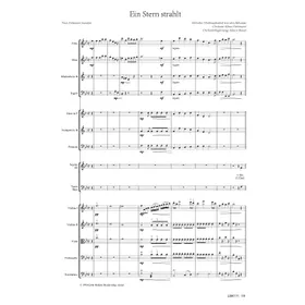 Produktbild des Artikels Ein Stern strahlt (Noten - Download)