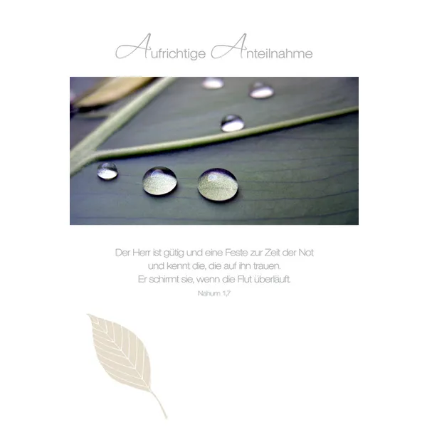 Produktbild des Artikels Faltkarte "Der Herr ist gütig" - 5 Stück (Schreibwaren)