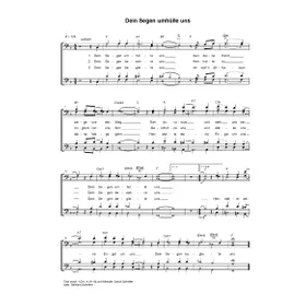 Produktbild des Artikels Dein Segen umhülle uns (Noten - Download)