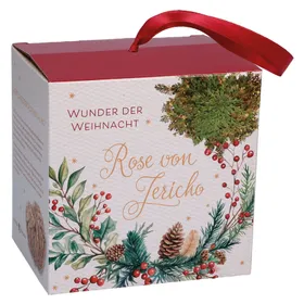 Produktbild des Artikels Wunder der Weihnacht - Rose von Jericho ()