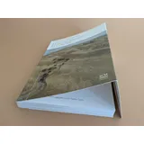 Stimmungsbild zu Das Bibellesebuch zu 1. Mose