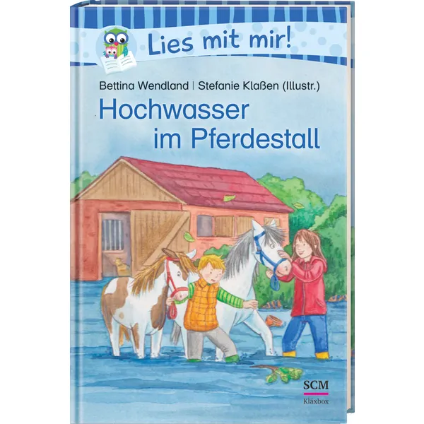 Produktbild des Artikels Hochwasser im Pferdestall (Buch - Hardcover)