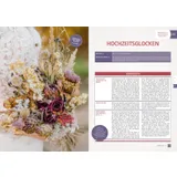 Stimmungsbild zu Seveneleven 01/2025